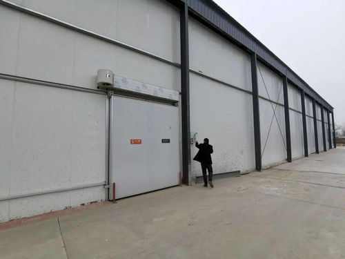 莘縣農(nóng)產(chǎn)品冷鏈倉儲物流項目助力鄉(xiāng)村振興